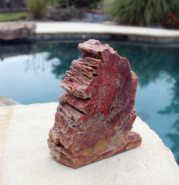 Petrified Wood