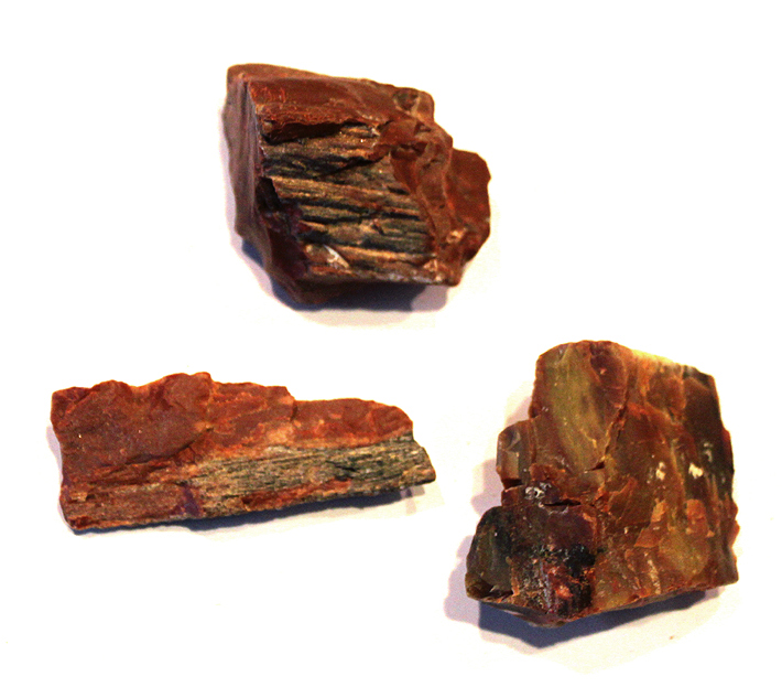 Petrified Wood