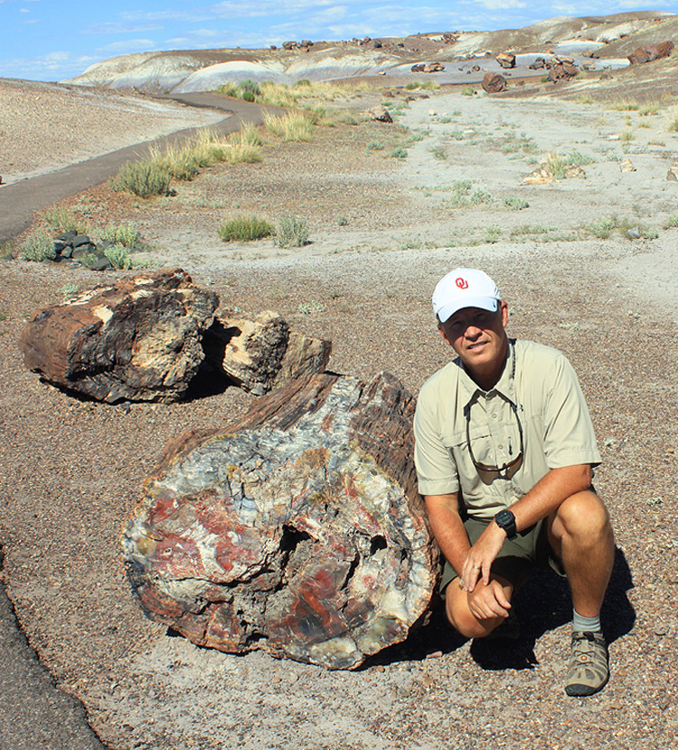 Petrified Wood