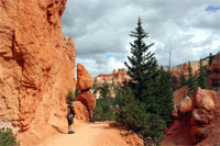 Navajo Loop trail in Bryce Canyon