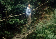 Tambopata Wilderness trails at the Explorer's Inn in the remote Madre de Dios Rainforest of Peru.